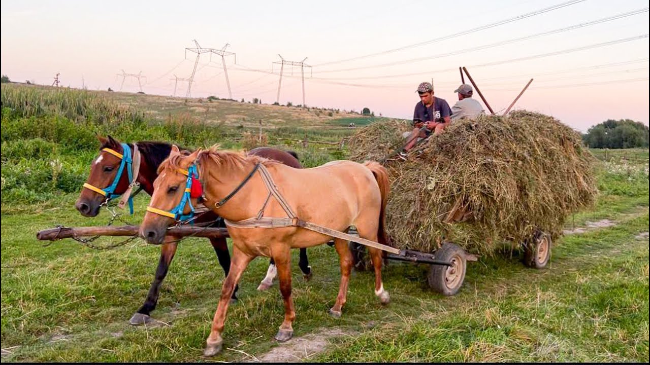Life in a Mountain Village: Farming with Horses and Nature's Beauty