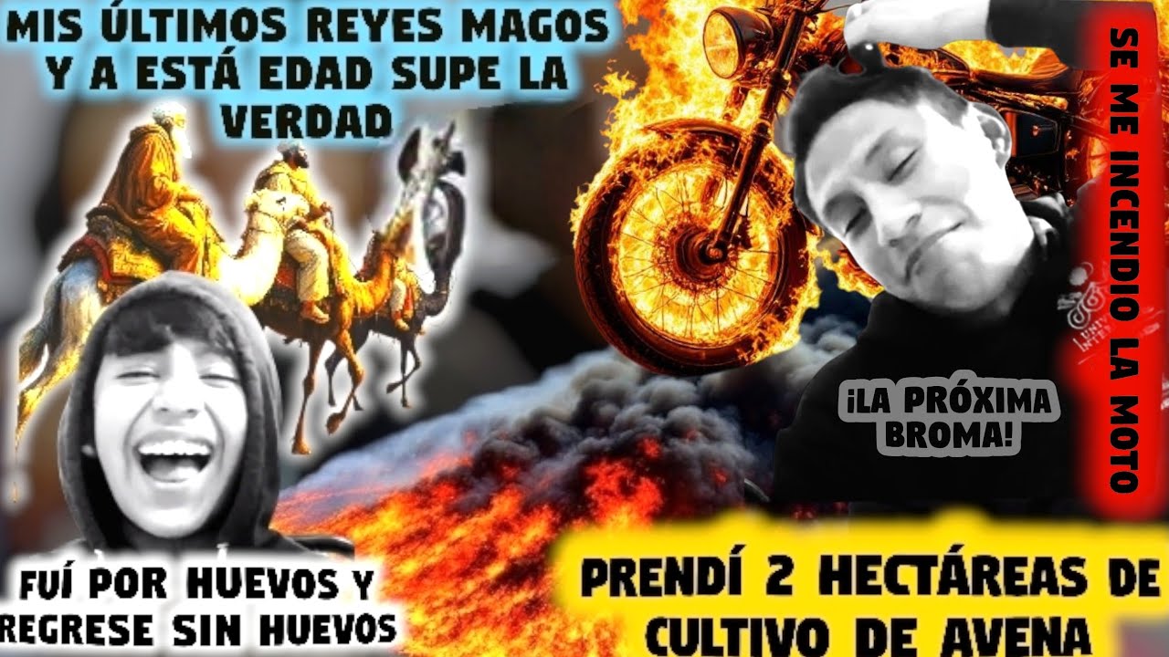 Debes de verlo 😂 Historias perronas ... 🔥