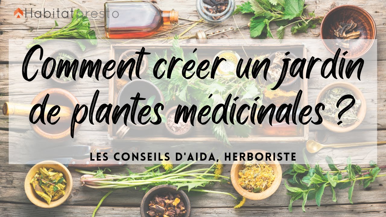 Comment créer un jardin de plantes médicinales chez soi ? [Podcast]