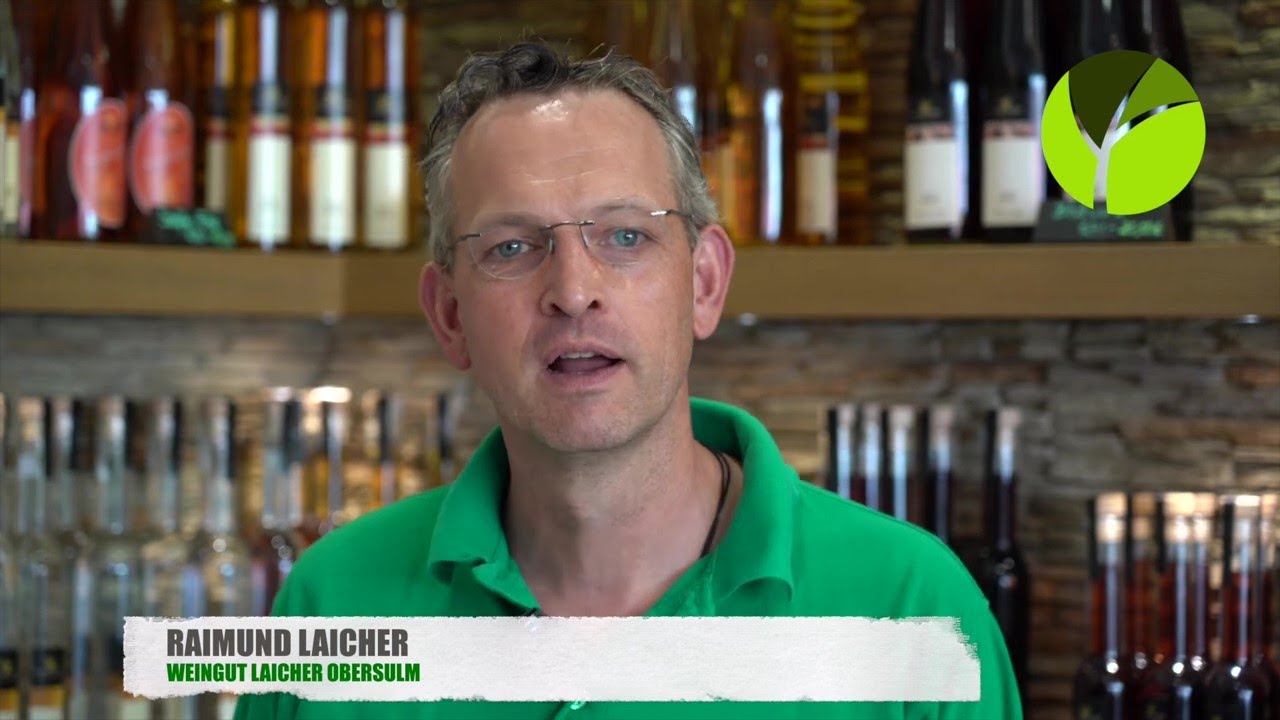 TESTIMONIAL: Raimund Laicher spricht über seine Erfahrungen mit Energie mit Plan GmbH