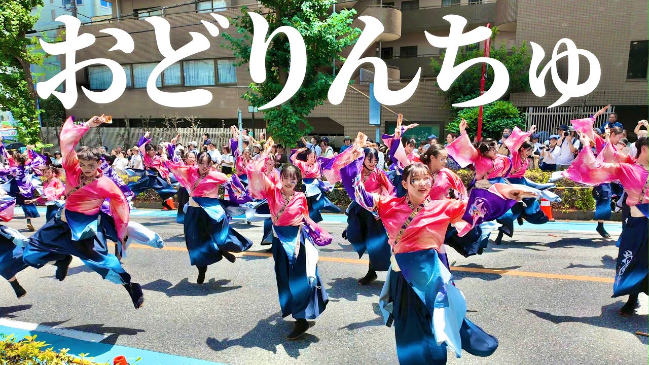 【学生から日本を元気に！】おどりんちゅ | 浦和よさこい | 2024年