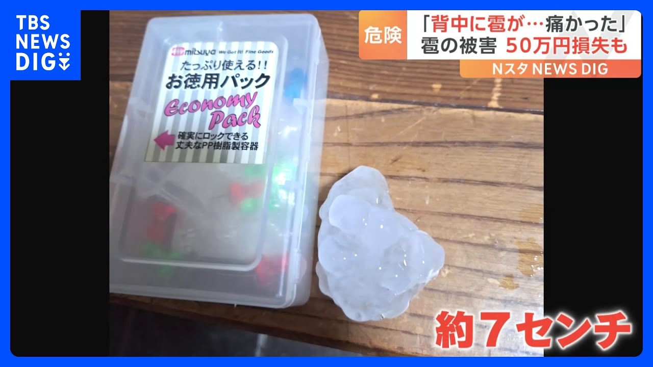 「背中に雹が&hellip;痛かった」農家のガラス温室や自宅のカーポートが穴だらけ！各地でゲリラ雷雨や雹の被害｜TBS&nbsp;NEWS&nbsp;DIG