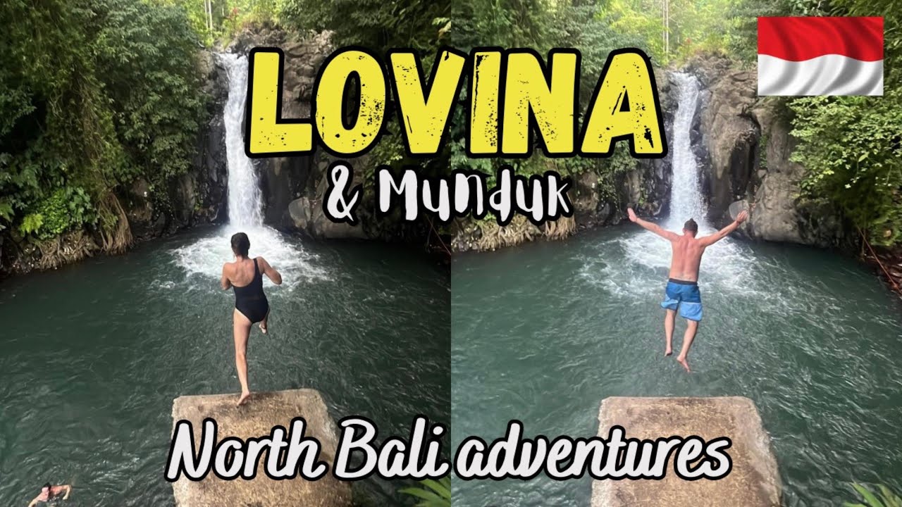 Lovina dolphin tour Aling Aling waterfall and Munduk tour guide, Indonesia #33vlog