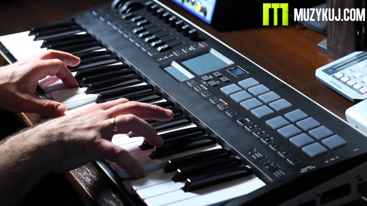Korg taktile