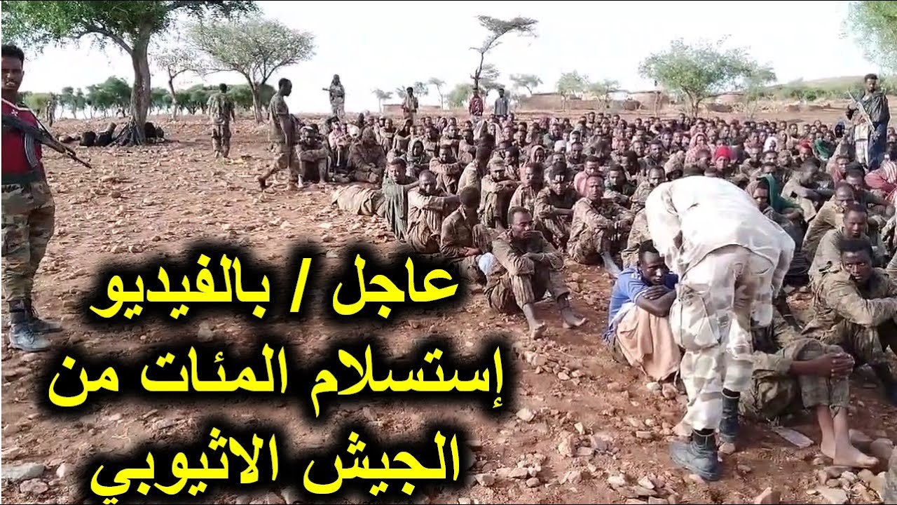عاجل/ أقليم تيجراي فيديو للمئات من الجيش الاثيوبي تسلم نفسها / Ethiopian army in Tigray