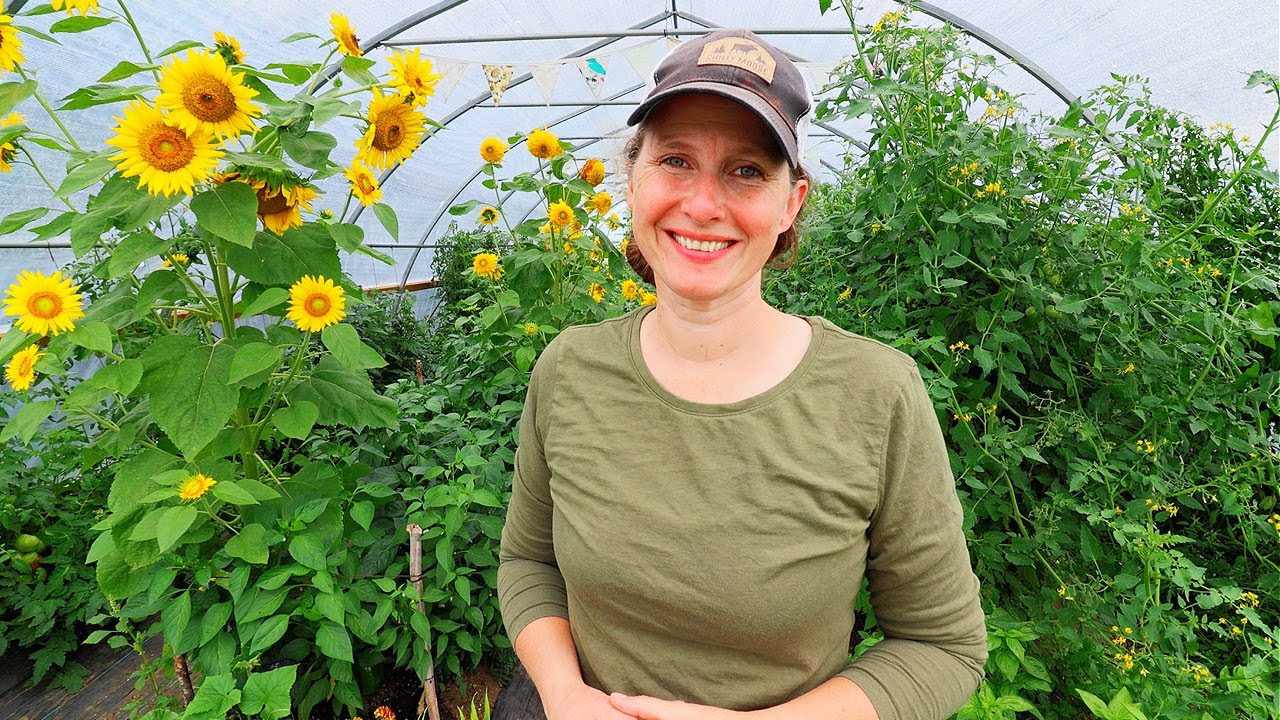Biggest Tomato Harvest So Far – Garden Tour & Varieties