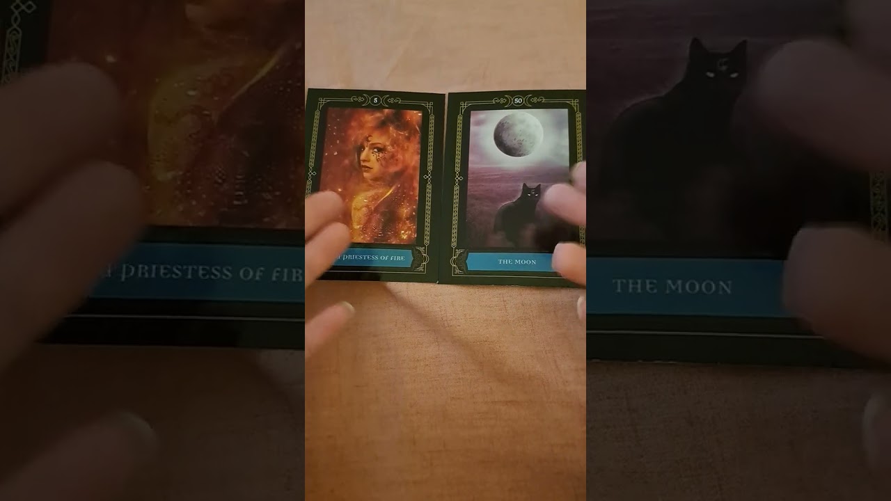 #subscribe #tarot #collective #tarotcards #oraclereader