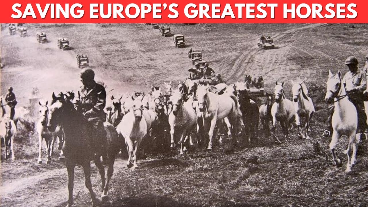 Why Operation Cowboy Remains One Of World War II&rsquo;s Most Unlikely Victories