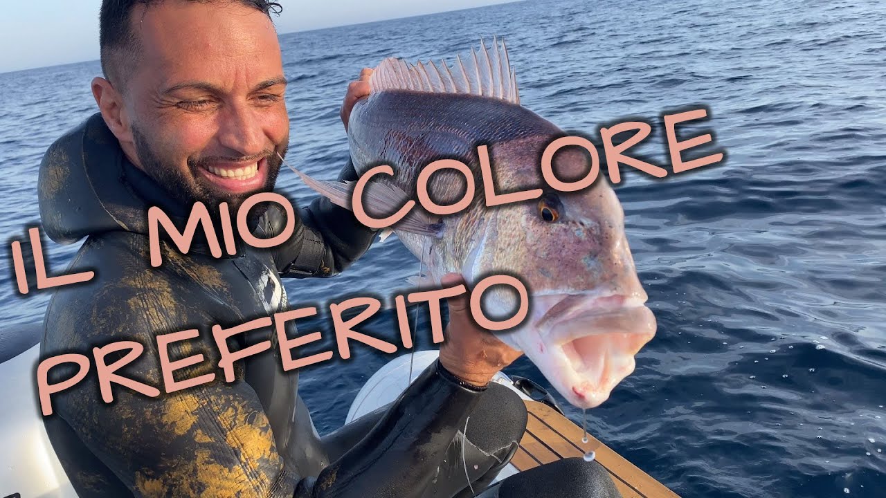 Il mio colore preferito SPEARFISHING [ Michele Giurgola ]