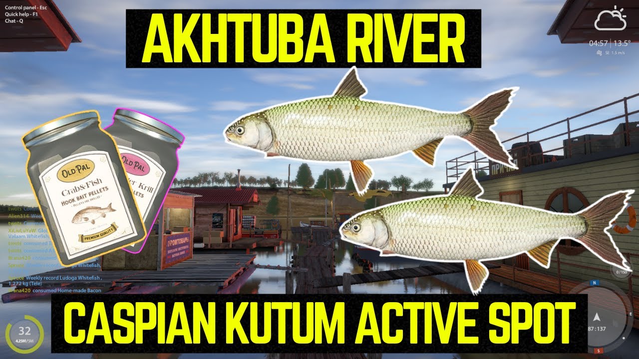 Russian Fishing 4 Caspian Kutum ACTIVE Spot (Akhtuba River)
