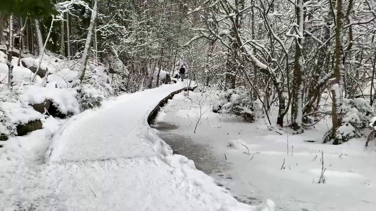 Stockholm Walks: Nature preserve Judan in winter. Sounds of walking, nature, dogs and skiers.