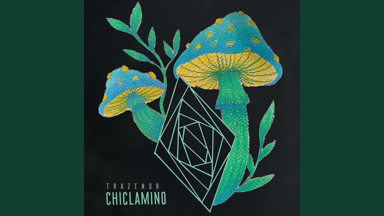 Chiclamino