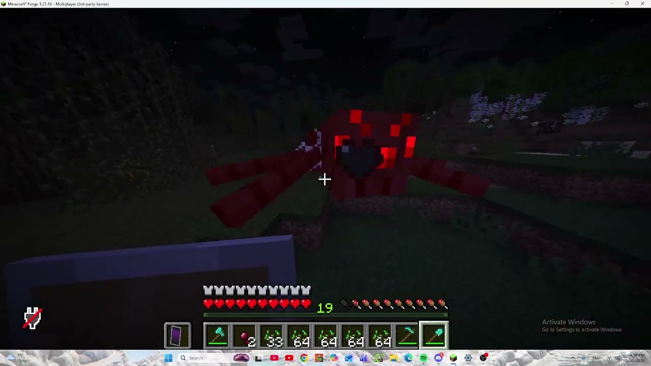 A STEP TO THE END. (MINECRAFT)