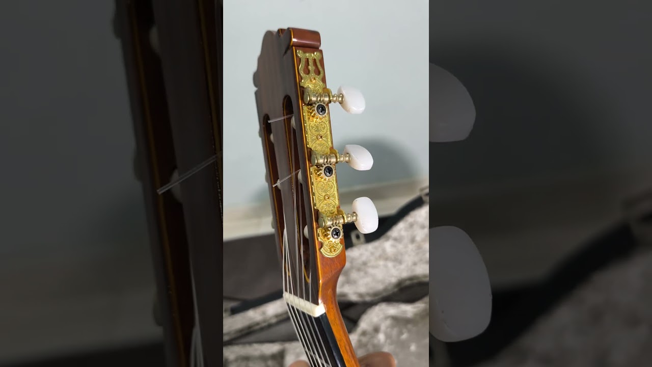 Đ&agrave;n nghệ nh&acirc;n Hashimoto C30 1979 2 chỉ cần,rất đ&aacute;ng sưu tầm #guitar #classic