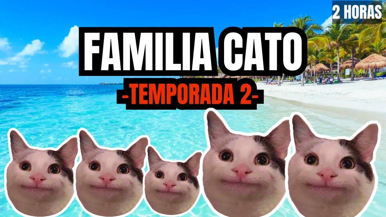 FAMILIA CATO TEMPORADA 2 (2 horas de memes de gatos)