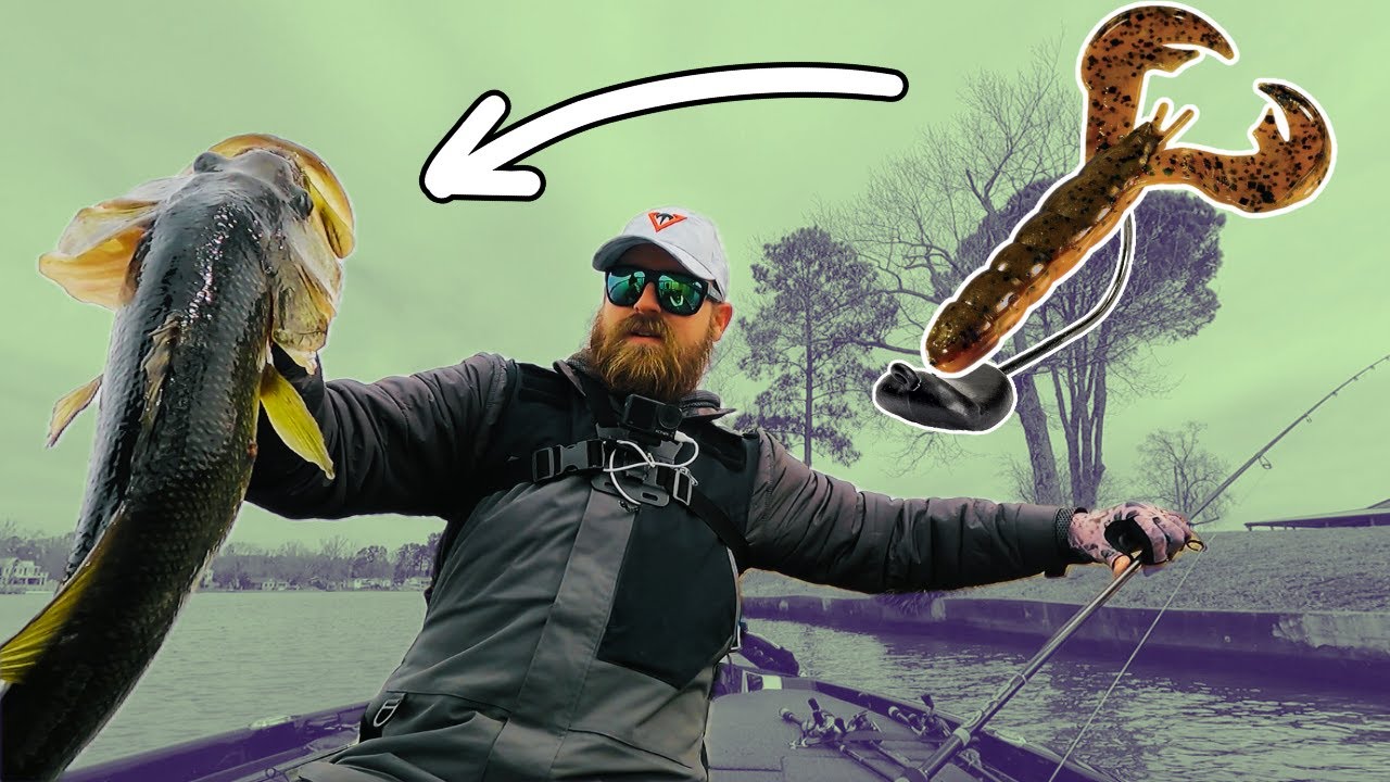 BIG Pre-Spawn Bass on Rock - Lake Murray Send Day 2