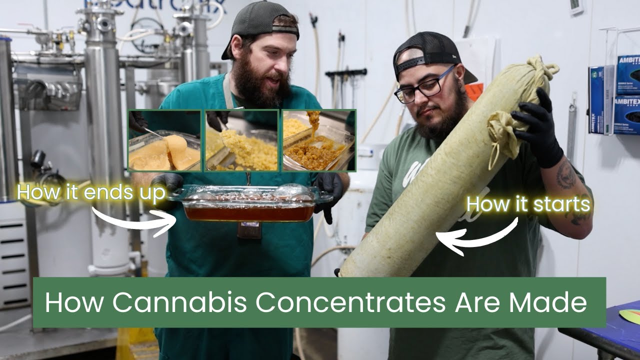 How Cannabis Concentrates Are Made Safely | Inside a Closed-Loop Extraction System
