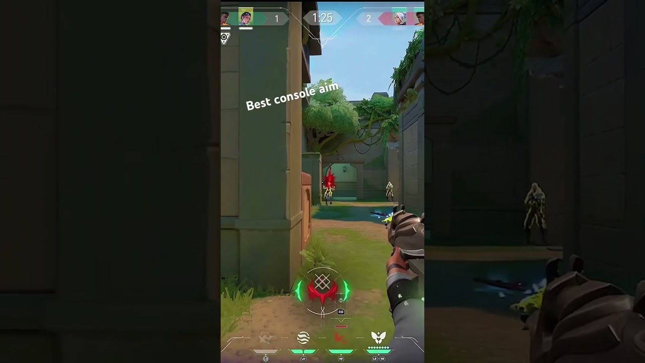0.01% aim on console valorant