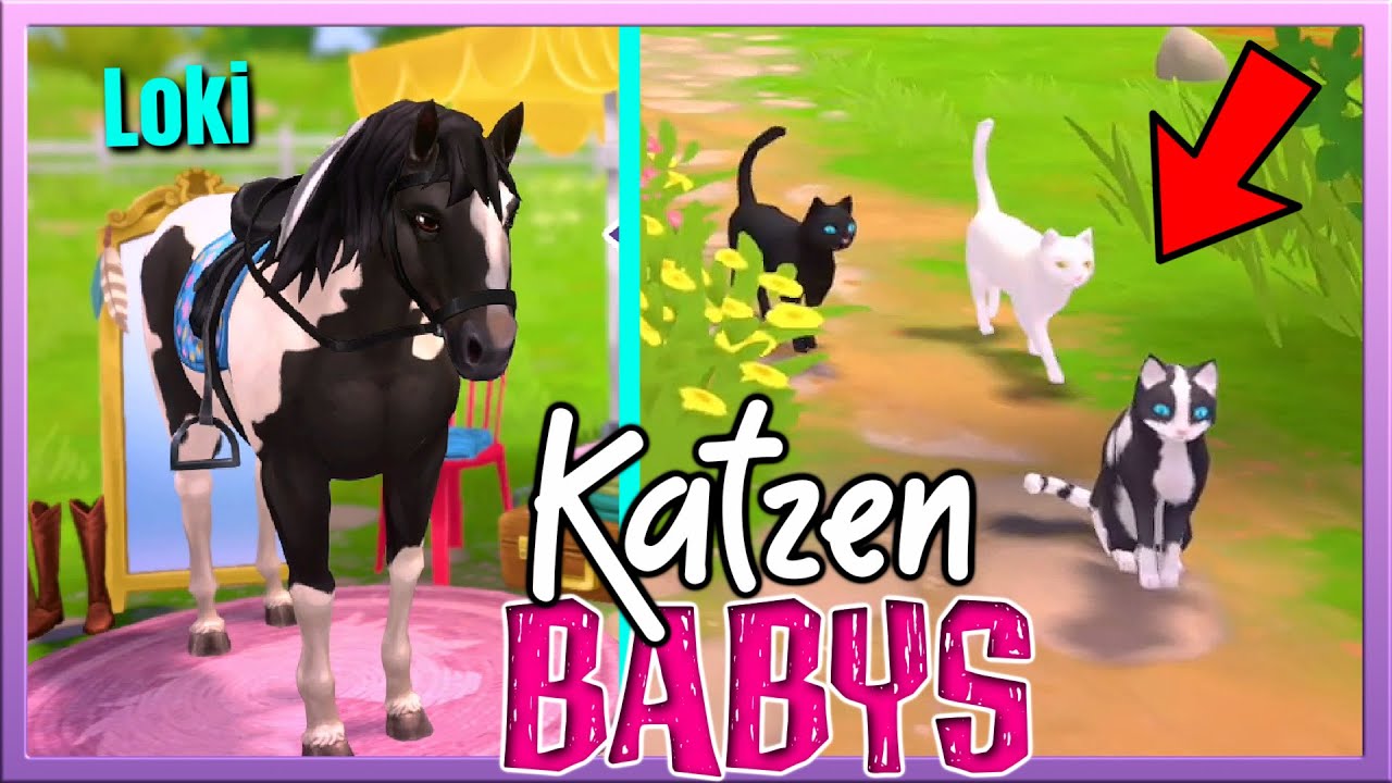Die KATZENBABYS sind WEG 🐱❌ (+ Loki hat ein *neues* Fell) Horse Club Adventures ✅ Nintendo Switch