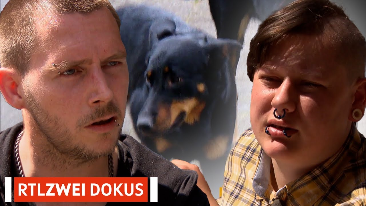 Noch nie gearbeitet & obdachlos mit Hunden?! 🫣 | Armes Deutschland | RTLZWEI Dokus #17