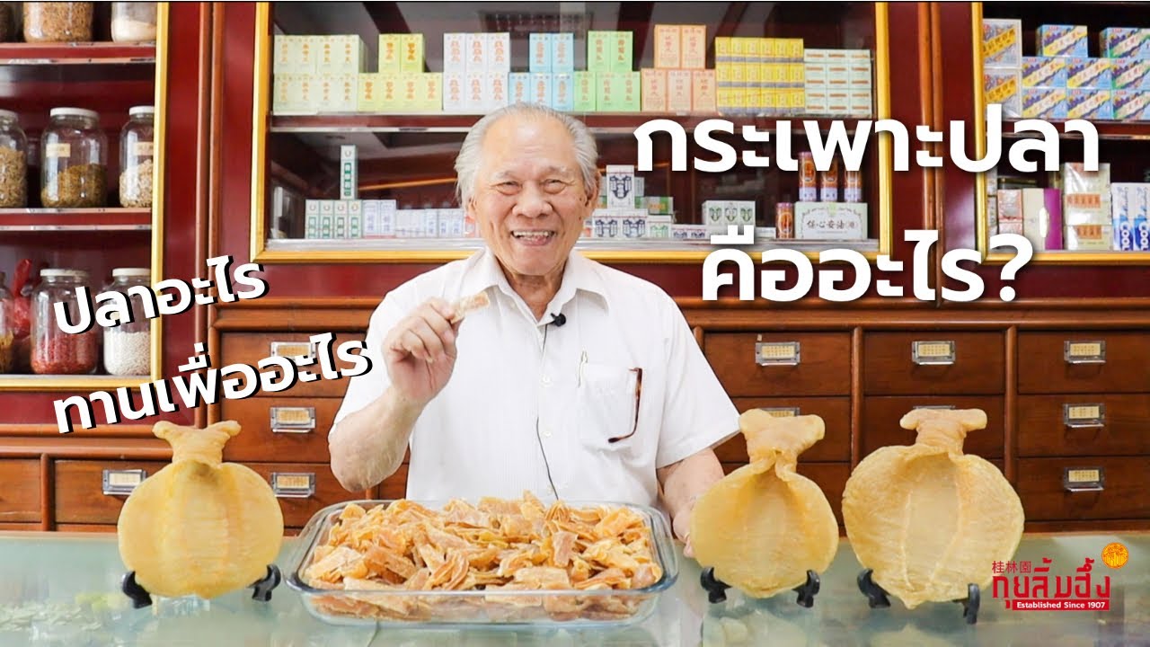 Healthy Series ตอน กระเพาะปลา