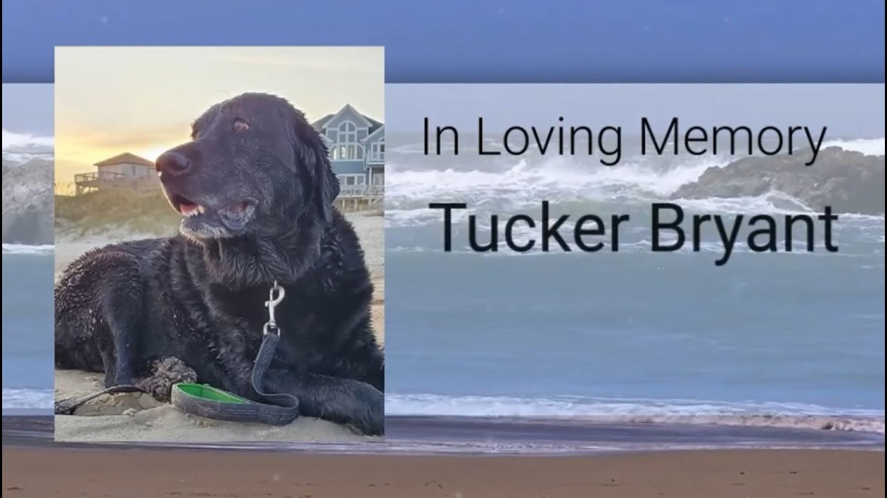 Tucker Bryant Memorial Video