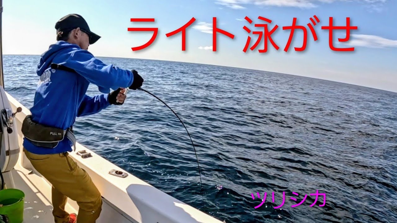 ベイトが採れればライト泳がせ　　　　　　　　ツリシカ