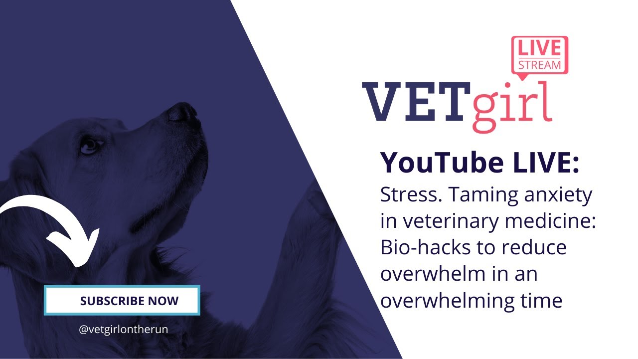 Stress. Taming anxiety in veterinary medicine: Bio-hacks to reduce overwhelm in an overwhelming time