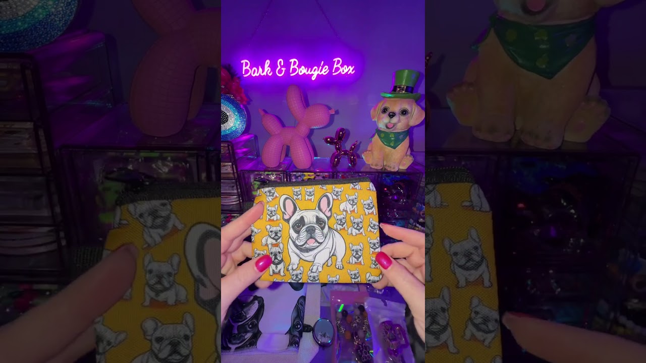 Maria! 🖤💖🐾 #frenchies #unboxing #unboxing #dogsofyoutube #asmr