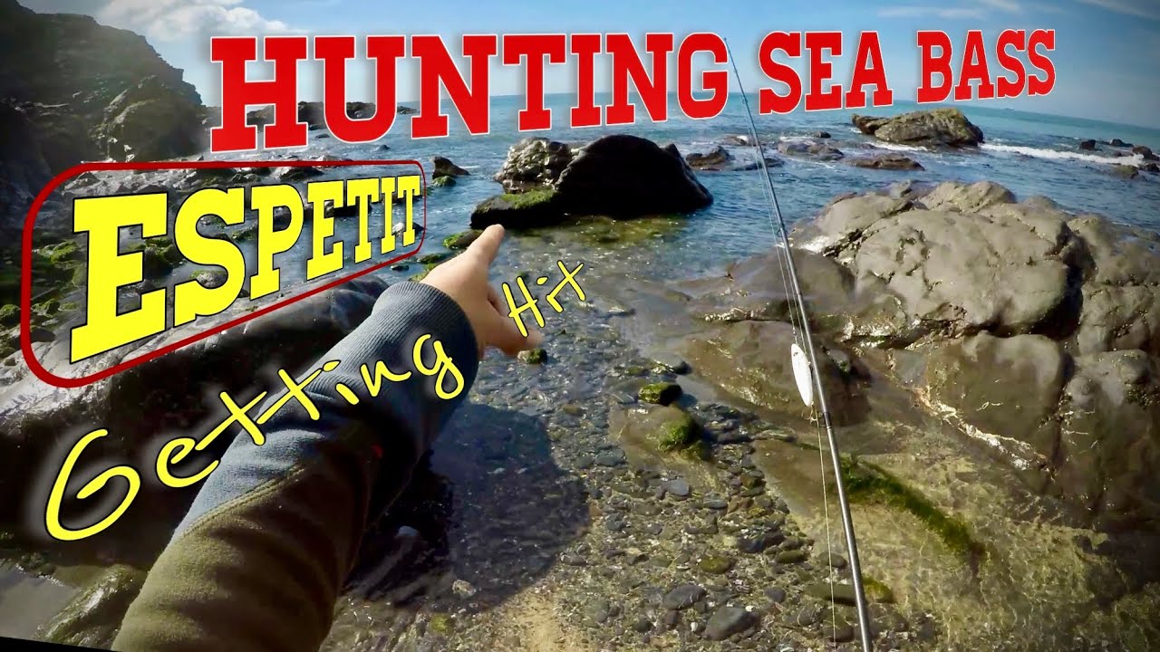 Top Water Sea Bass Fishing | FishUs Espetit | Out For A Cast #fishingCornwall