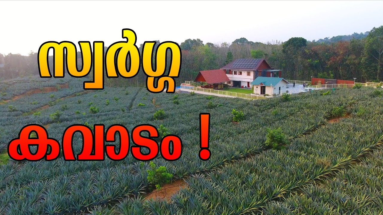 മഞ്ഞു പെയ്യുന്ന വില്ല! - Farm Stay | Automatic Irrigation | Fogger | Mist | Popup | Landscape |