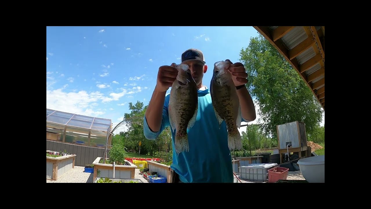 Kayak crappie fishing (livescope footage)