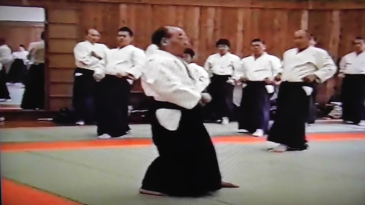 合気道　佐々木の将人師範　「天之鳥船の行」