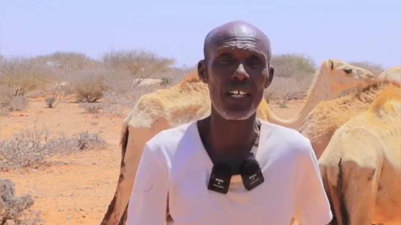 Qaabka abaarta iyo biyo la,aantu u saamaysay reer guuraaga.