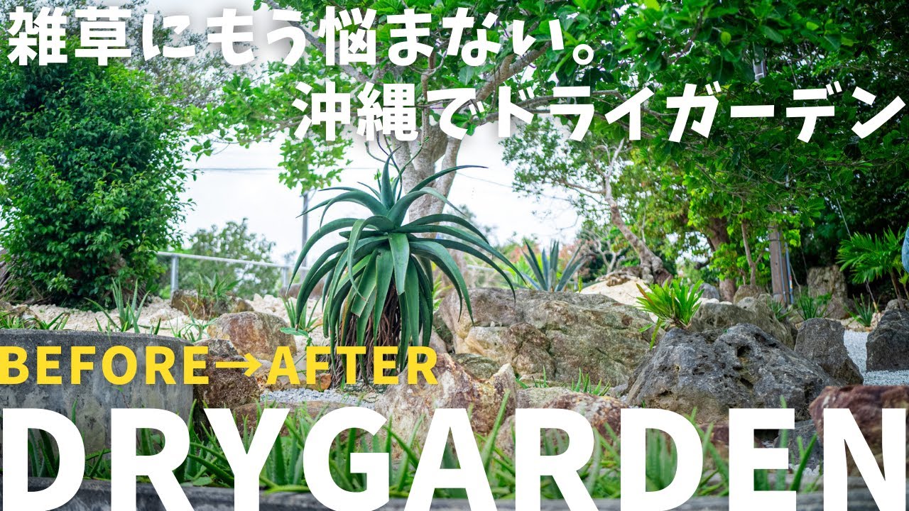 雑草に悩まない。アガベとアロエを使ったドライガーデン。