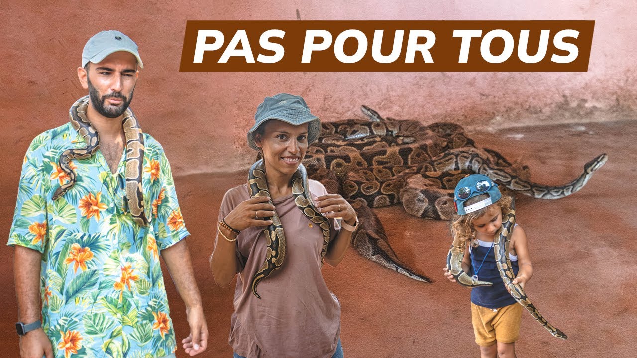 BENIN - ON FAIT UNE RENCONTRE EFFRAYANTE : 1 AN EN FAMILLE POUR TRAVERSER L'AFRIQUE