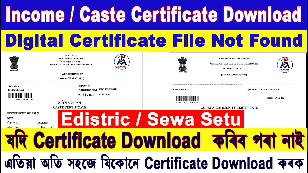 How to Download Digital Certificate Online / File Not Found Download Certificate / 100% Solved