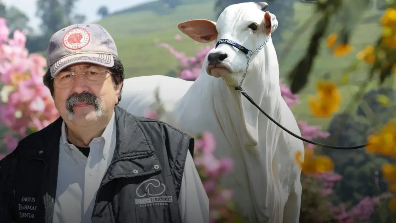 Conheça o Maior Criador de Vacas Milionárias do Brasil