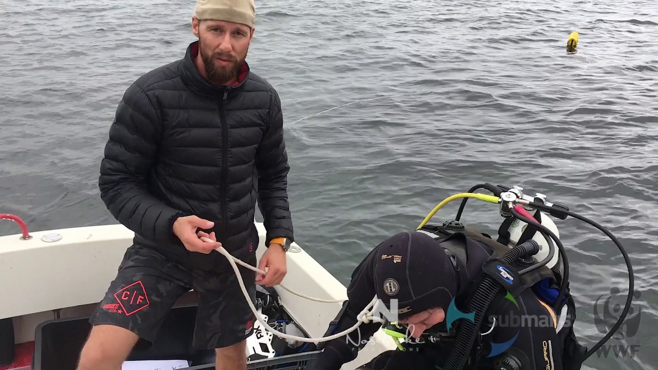 Haie in Ostsee & Nordsee filmen – Hai-Kamera-Test mit Robert Marc Lehmann von Submaris & WWF
