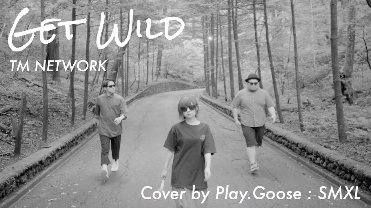 Get Wild／TM NETWORK  (Cover)