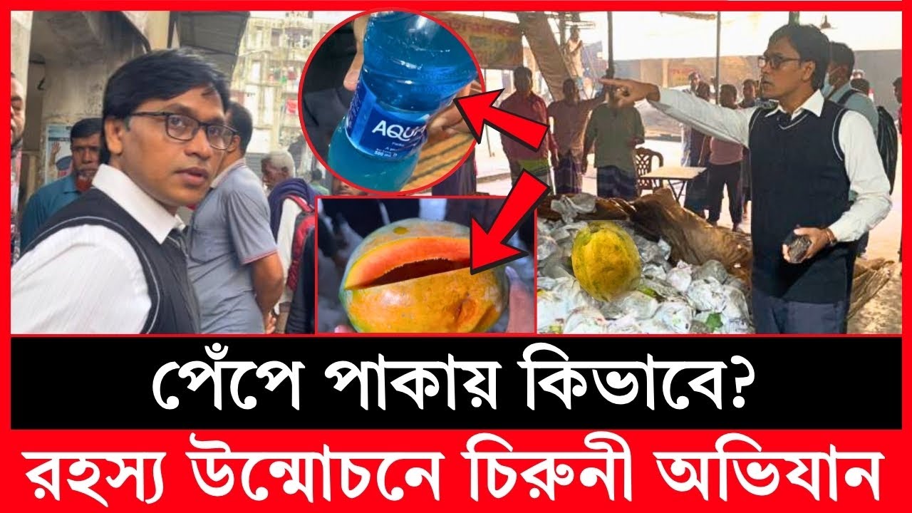 পেঁপে পাকায় কিভাবে? রহস্য উন্মোচনে ভোক্তা অধিকারের চিরুনি অভিযান, অতপর| Daily Issues | Vokta odhikar