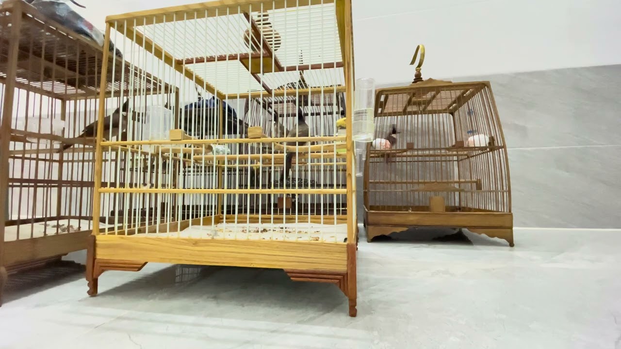 Đấm nhau xíu rồi ngủ
