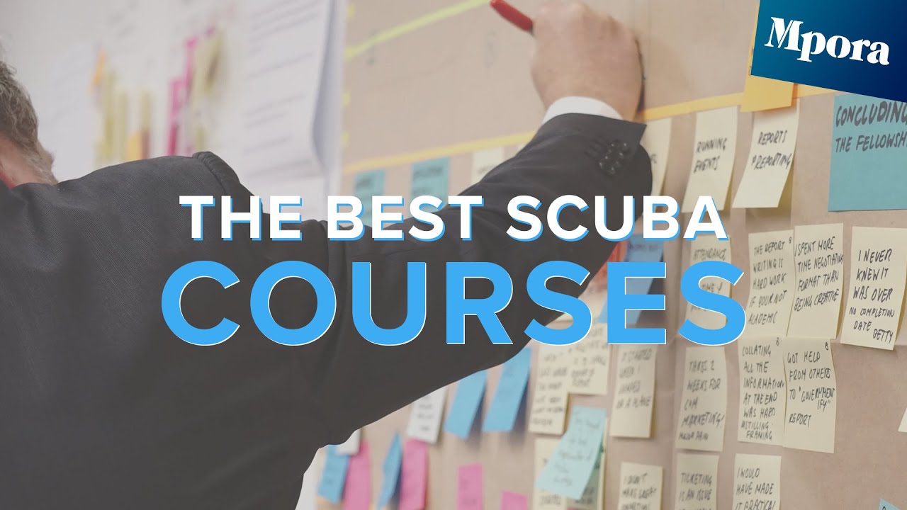 What Are The BEST Scuba Courses To Take? | Surface Interval