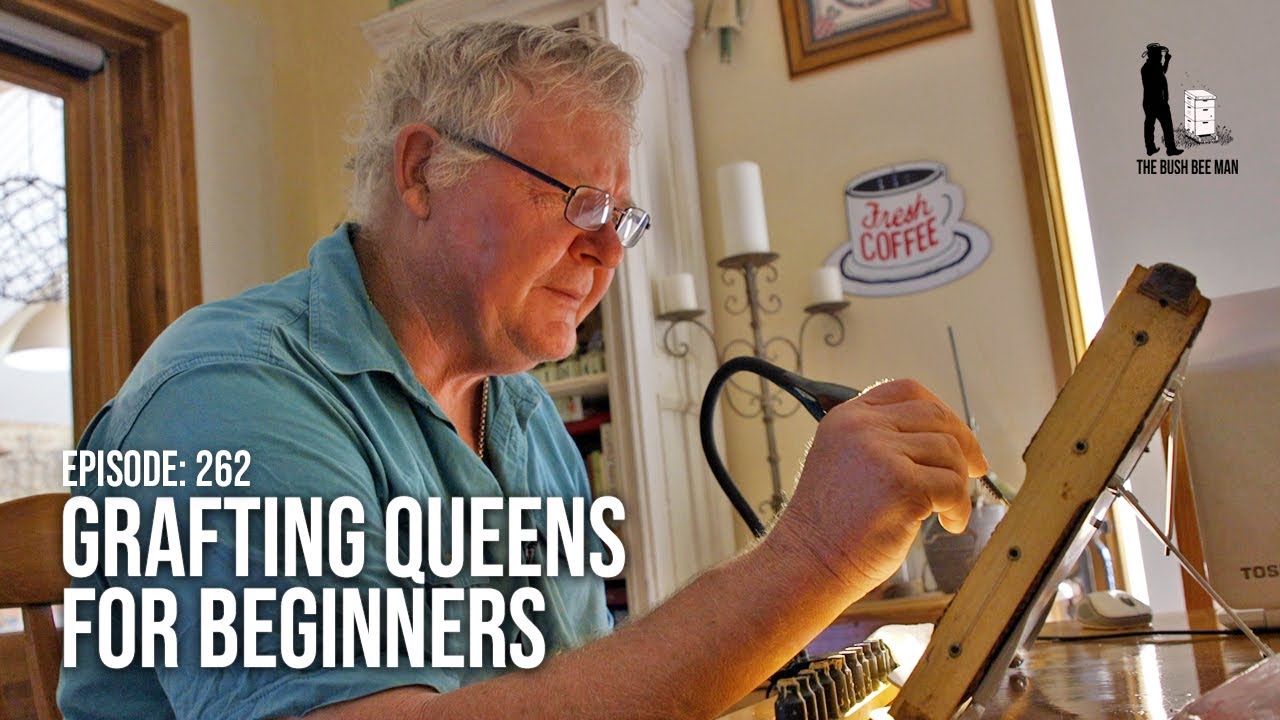 How to Make Bee Queens with Grafting & Queen Cells: Queen Rearing Steps (Part 2) | The Bush Bee Man