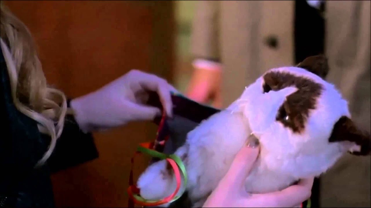 Supernatural - Castiel buys Claire a gift