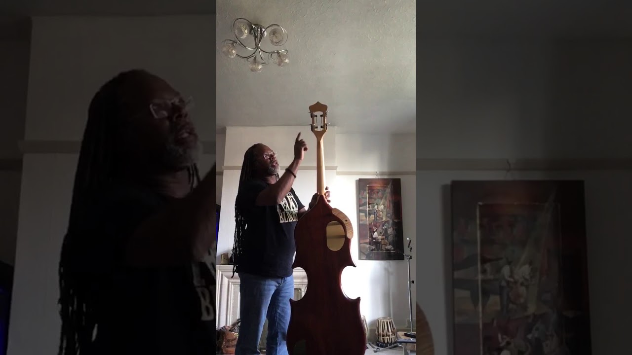 Quick Guided tour of an Alembic Classico bass