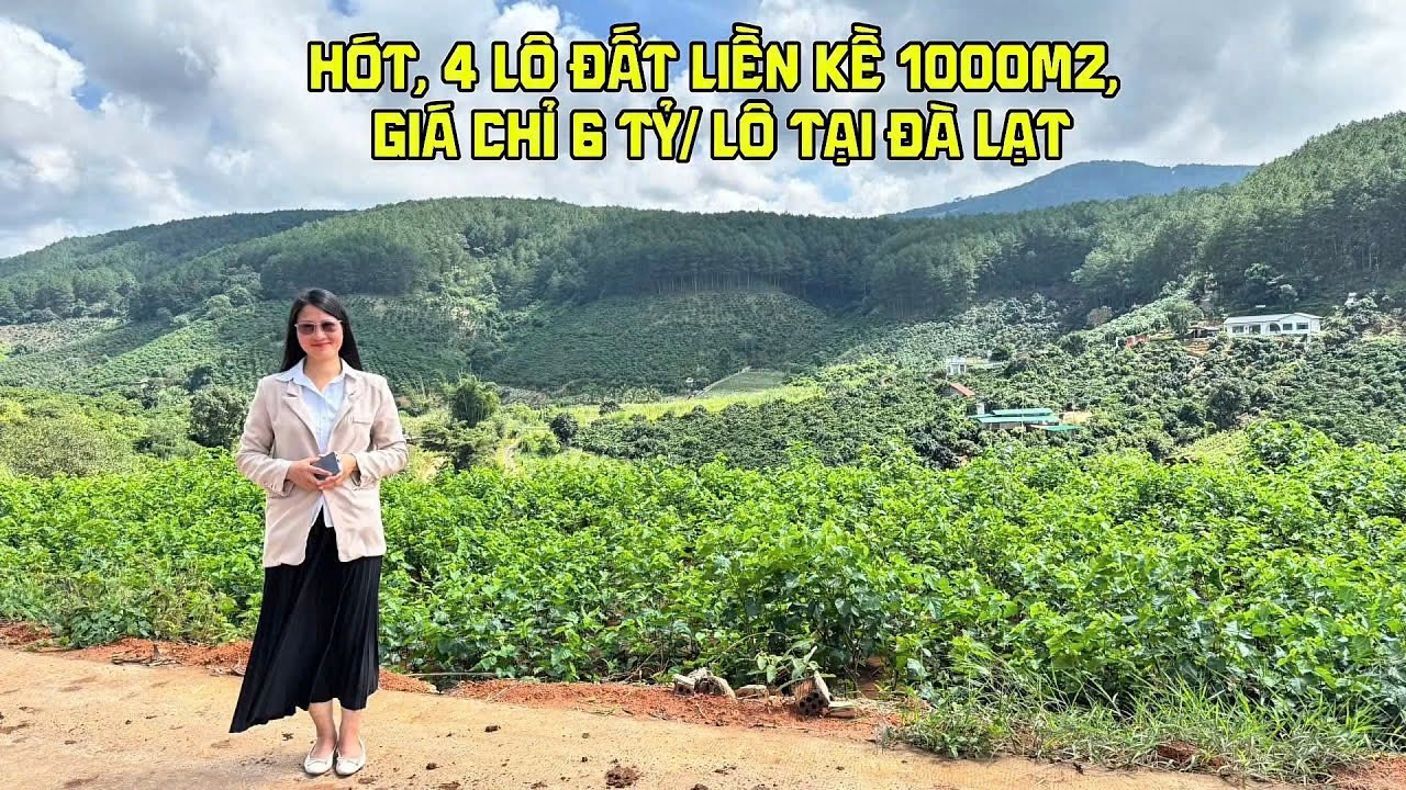 4 ĐẤT LIỀN KỀ TẠI CAM LY ĐÀ LẠT - VIEW SUỐI, ĐỒI THÔNG, DIỆN TÍCH HƠN 1000m2 - CHỈ 6 TỶ/LÔ #đàlạt