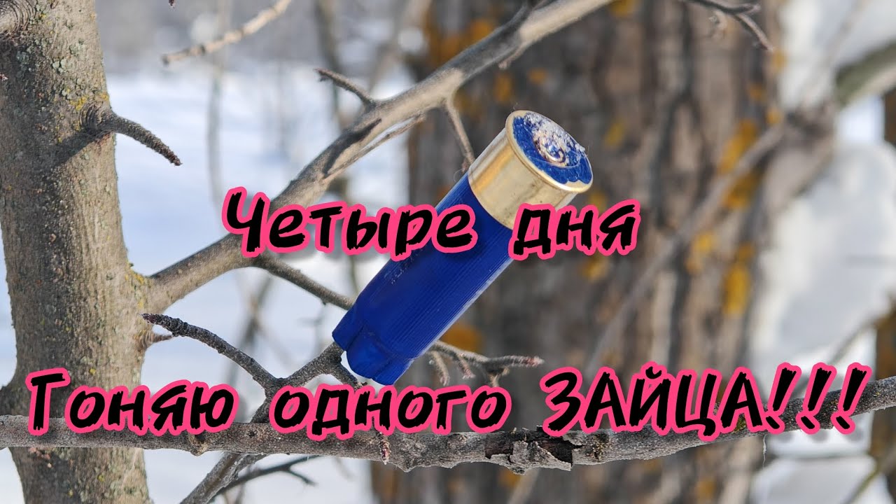 261-Четыре дня гоняю одного ЗАЙЦА!