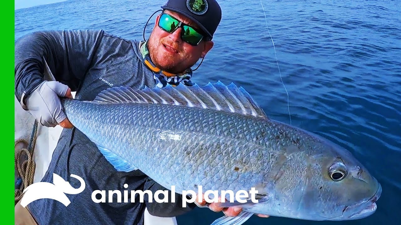 Fishermen Encounter Unknown Fish In Papua New Guinea | Fish Or Die