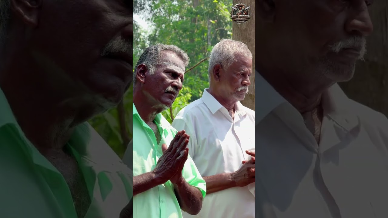 .തന്ത്രിയുടെ കാർമ്മികത്വത്തിൽ, ഭക്തിയുടെ കൊടുമുടിയിൽ. ക്ഷേത്ര കൊടിമരത്തിനായുള്ള തടി മുറിക്കൽ ചടങ്ങ്.